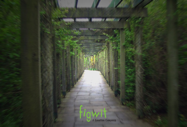 Bru-na-Boinne-Walkway